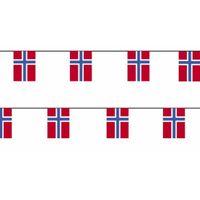 2x Papieren vlaggenlijn Noorwegen landen decoratie   -