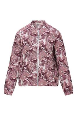 Dreamstar Jack Z26 104 Andrea