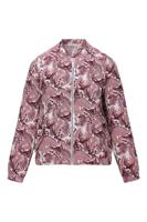 Dreamstar Jack Z26 104 Andrea