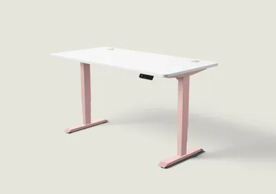 Desktronic HomePro bureau Zachtroze / Wit / 160x80 cm