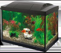 Superfish Start 20 aquarium zwart