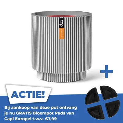 Vaas cylinder groove nl 44x46cm ivoor Vaas cylinder groove nl 44x46cm ivoor