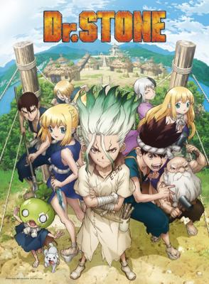 Poster Dr Stone Group 38x52cm