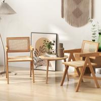 Rotan Accentstoelen Set van 2 Middeleeuwse Moderne Eetkamerstoelen met Natuurlijk Bamboe Frame Imitatie Rotan Rugleuning