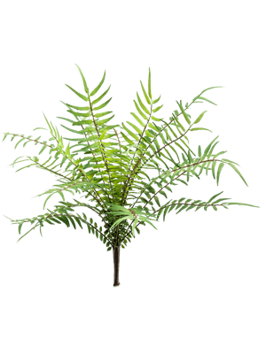 Fern blechnum bush 25 cm kunstbloem zijde nepbloem - Emerald