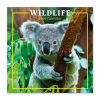 Wildlife Kalender 2026