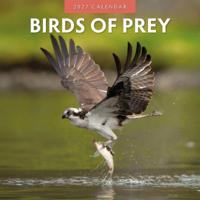 Birds Of Prey Kalender 2027