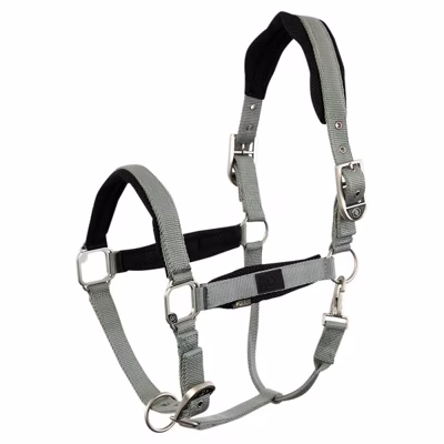 BR Halster Ilse lichtgroen maat:cob