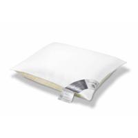 Pure Nature Hoofdkussen Tweekamer | 60 cm x 60 cm | Wit | Dons