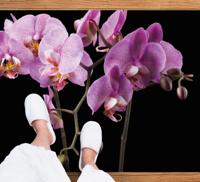 Vinyl tapijt Orchidee zwarte achtergrond