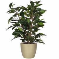 Mica Decorations Ficus kunstplant - groen - 40 cm - met plantenpot - goud - D13.5 en H12.5 cm
