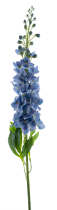 Nova Nature Delphinium spray Roland blue 87cm
