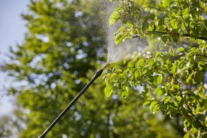 Gardena 11142-20 tuinsproeier Drukspuit voor op de rug 12 l