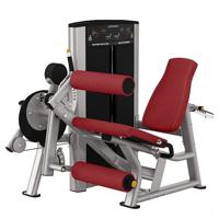 Life Fitness Axiom series leg extension combi