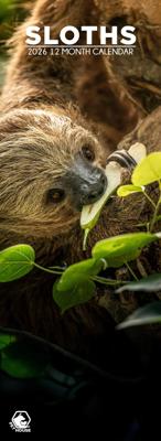 Luiaard Slimline Kalender 2026