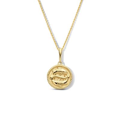 Minimalistische sterrenbeeld ketting - 14K GOUD - Pisces - vissen - Goud
