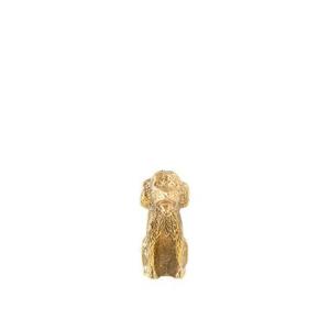 Sissy-Boy Goudkleurige kandelaar labradoodle