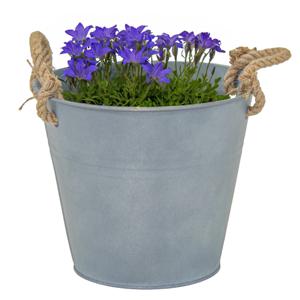 Plantenpot/bloempot emmer Old Rope - zink - zilver - D25 X H22 cm