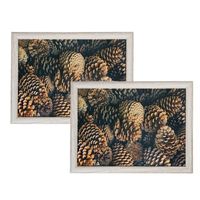 Set van 2x stuks schootkussens/laptrays dennenappels print 43 x 33 cm - thumbnail