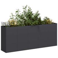 VidaXL Plantenbak 200x40x80 cm koudgewalst staal zwart