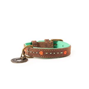 DWAM Joplin Bruin, Oranje, Turkoois Leer XS Hond Standaard halsband