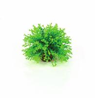 Decobol groen - Biorb