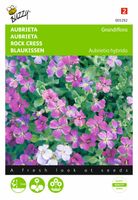 Aubretia hybrida Gemengd - Buzzy Aubretia hybrida Gemengd - Buzzy