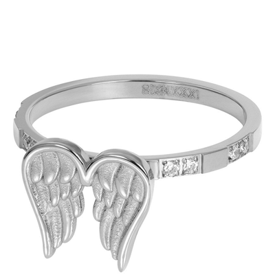 iXXXi Vulring Wings Zilver