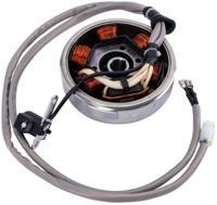 RMS Alternator piaggio 50 ccm