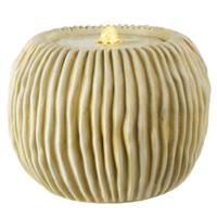 Lumineo (r) fontein eu-stekker ip44 36 cm | 2 stuks