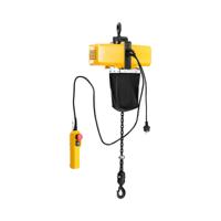 Elektrische kettingtakel - 500 kg - 3 m