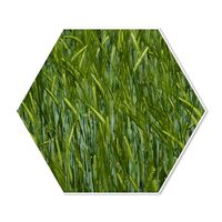 Hexagon Gras 60 breed x 52 hoog Zwart - thumbnail