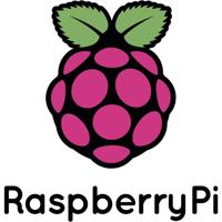 Raspberry Pi® RP-PICO-H Microcontroller RP-PICO-H