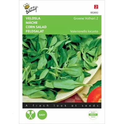 Veldsla Groene Volhart 2