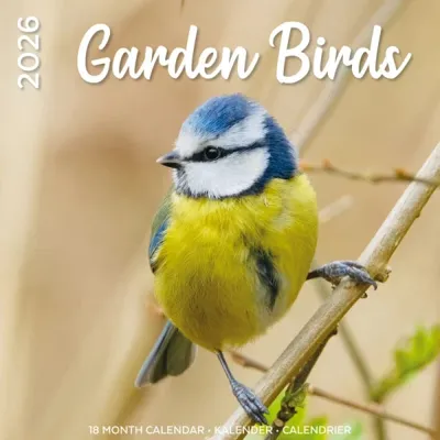 Garden Birds Kalender 2026