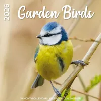 Garden Birds Kalender 2026
