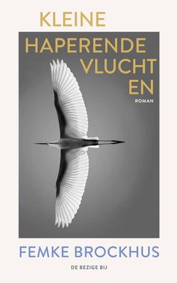 Kleine haperende vluchten - Femke Brockhus - ebook