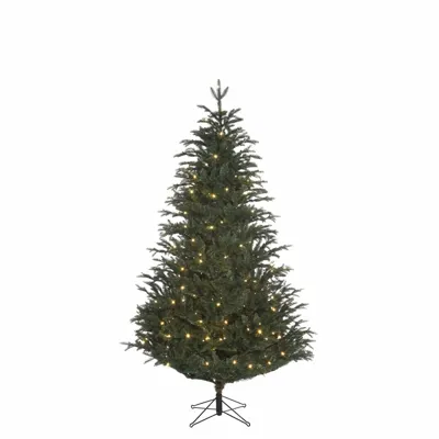Kunstkerstboom Frasier Fir 230 cm Hoog Groen 480 lampjes Black Box Trees