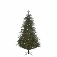 Kunstkerstboom Frasier Fir 230 cm Hoog Groen 480 lampjes Black Box Trees