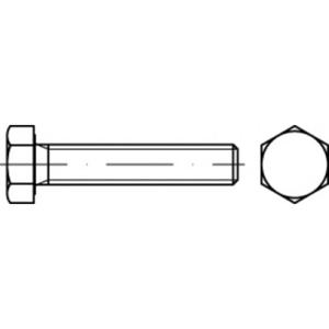 TOOLCRAFT TO-5443407 Zeskantbout 50 mm 22 mm Buitenzeskant 83933 Staal 50 stuk(s)