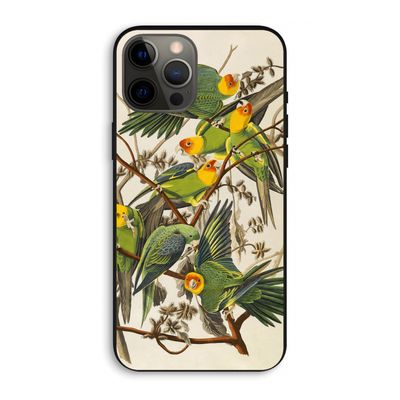 Carolinaparkiet: iPhone 12 Pro Max Biologisch afbreekbaar hoesje