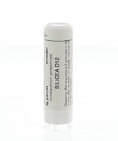 Homeoden Heel Silicea D12 6 Gram