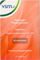 Nisyleen pelargonium