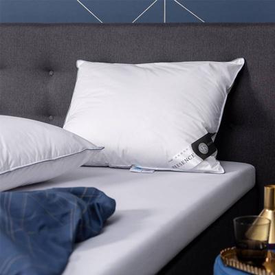 Hoofdkussen Dons 65% Ganzendons 60x70 Cm Anti Allergie & Anti Huisstofmijt & Ademend & Zacht & Medium & Buik Slaper & Rug Slaper & Zij Slaper
