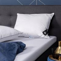 Hoofdkussen Dons 65% Ganzendons 60x70 Cm Anti Allergie & Anti Huisstofmijt & Ademend & Zacht & Medium & Buik Slaper & Rug Slaper & Zij Slaper