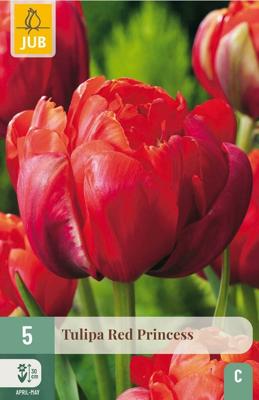 Tulp Red Princess 5 bollen