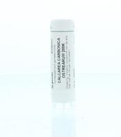 Homeoden Heel Calcarea carbonica 0 200K 6 Gram