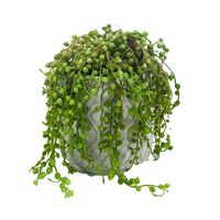 Kunstplant Senecio/erwtenplant - groen - in pot - 27 cm - hangplant   -