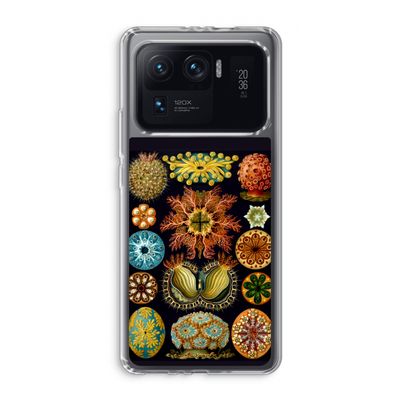 Haeckel Ascidiae: Xiaomi Mi 11 Ultra Transparant Hoesje