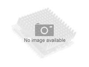 Xeon E-2176G - 3.7 GHz - 6-kern - 12 threads - 12 MB cache - LGA1151 Socket - doos Xeon E-2176G - 3.7 GHz - 6-kern - 12 threads - 12 MB cache - LGA1151 Socket - doos